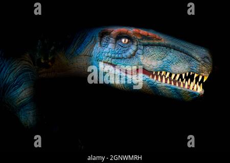 T-Rex is a carnivorous genus of Coelurosaurian Theropod in the dark background Stock Photo