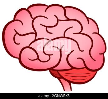 Vector human brain isolated design Stock Vector