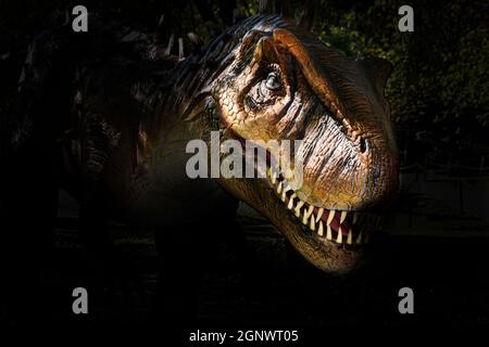 T-Rex is a carnivorous genus of Coelurosaurian Theropod in the dark background Stock Photo