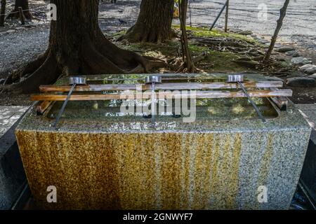 Yasukuni Shrine of image. Shooting Location: Tokyo metropolitan area Stock Photo