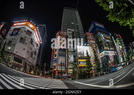 Akihabara skyline (night). Shooting Location: Tokyo metropolitan area Stock Photo