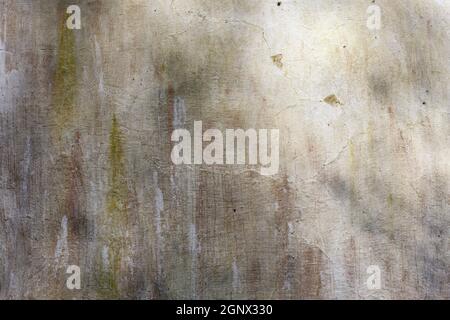 Old whitewashed brown green weathered distressed cracked cement stone wall texture background Stock Photo