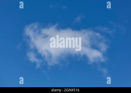 Background of a one single cumulus cloud with a blue clear sky Stock Photo