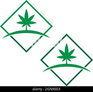 Cannabis leaf logo design vector template Stock Vector
