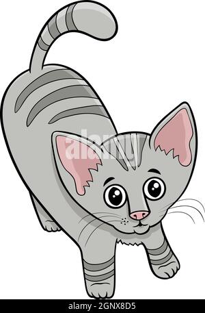 cute tabby cat or kitten cartoon animal character Stock Vector