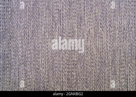 Canvas Texture Background with Delicate Striped Seamless Pattern. Stock Photo