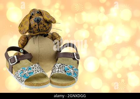 Closeup of a pair of girls sandals adorned with a blue flower are presented by a funny dog on bright abstract background. Business card shoe fashion c Stock Photo