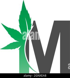 Letter M logo icon with cannabis leaf design vector Stock Vector