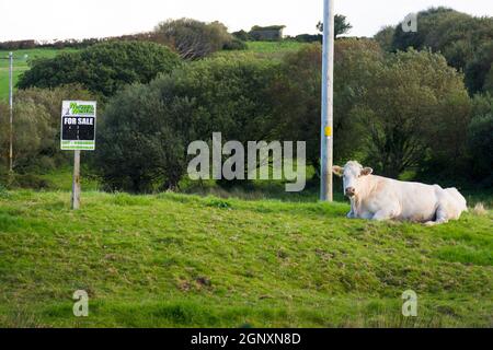 Land for sale in rural Ireland. Ardara, County Donegal Stock Photo