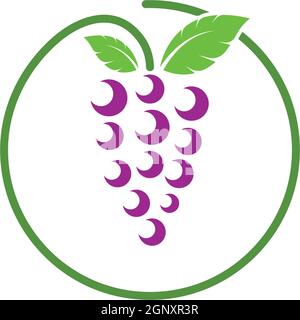 Grape fruits with leaf icon vector illustrtion Stock Vector