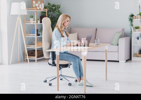 Full size profile side photo of serious businesswoman working remote at home typing keyboard work on new project start-up Stock Photo