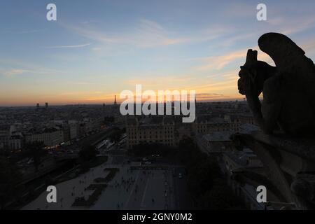 The Chimeras of Notre Dame watching the sunset in Paris Stock Photo