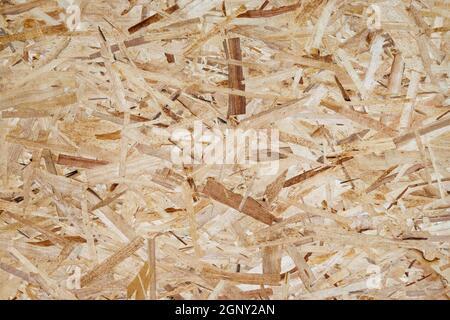 Pressed wooden shavings panel background, texture of oriented strand board, OSB. Stock Photo
