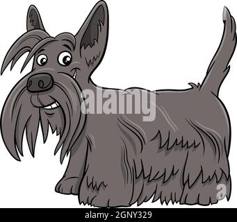 Scottish Terrier purebred dog cartoon illustration Stock Vector