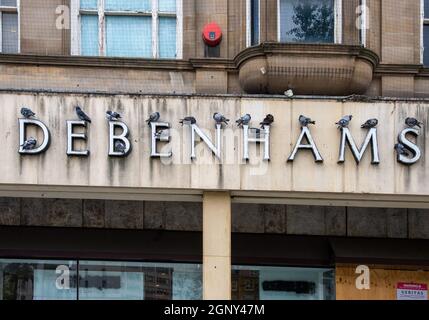 The dilapidated signage of the former Debenhams Store now forming a roost for pigeons, Old Market Square, Nottingham, England, UK Stock Photo