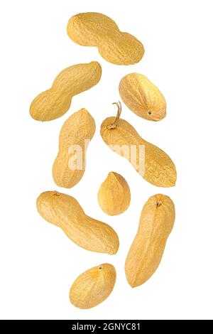 Isolated nuts. Nine whole peanuts in the air on white with clipping path as package design element. Full depth of field. Food levitation concept. Stock Photo