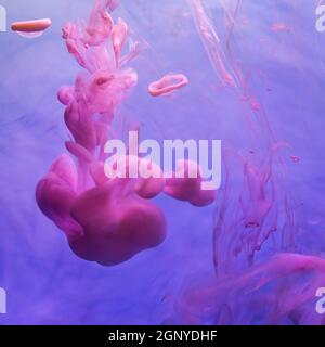 Pink ink drops in water on blue background Stock Photo
