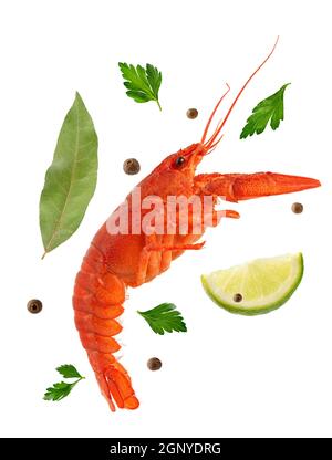 Isolated crayfish with flying ingredients on white background. Stock Photo