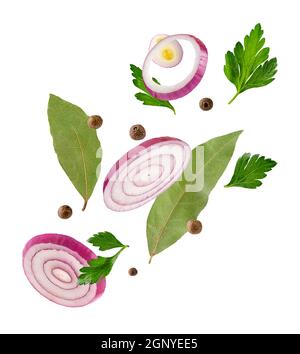 Flying isolated spices on white background. Stock Photo