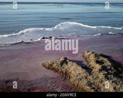 Purple ice on the shore of the Caspian Sea. Kazakhstan. Mangistau region. 22 November 2019 year. Stock Photo