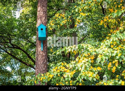 Blue wooden birdhouse on a tree trunk in the park  Stock Photo