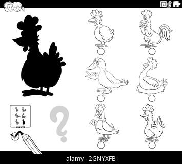 shadows game with cartoon firm birds animals coloring book page Stock Vector