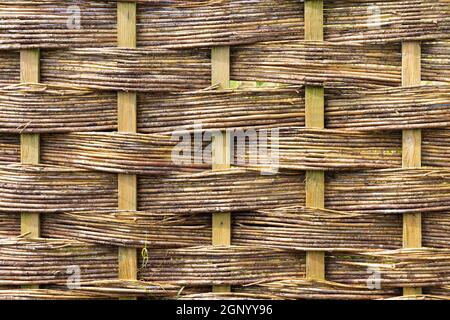 Close up of a weathered, weaved straw fence. Abstract background texture. Stock Photo