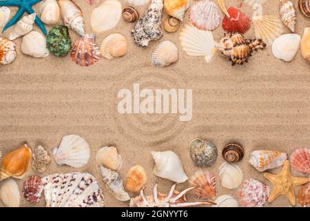 Circle made of sand, frame of seashells and stars. With space for the designer. View from above Stock Photo