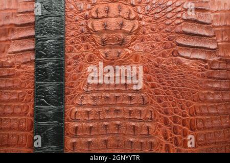 Texture of brown and black crocodile leather. Background. View from above Stock Photo