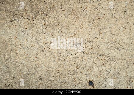 Extreme macro, white brick texture with rough surface. Top view Stock Photo