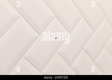 Drilled hole in wall cladded with ceramic tile in bathroom Stock Photo