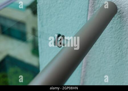 Glass facades and walls. Metal fasteners. Stock Photo