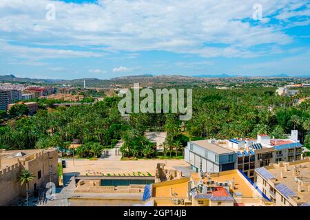 an aerial view over the famous Palmeral de Elche, Palm Grove of Elche in English, a public park with many palm trees in Elche, Spain, with the Altamir Stock Photo
