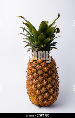 Pineapple isolated on white background. Stock Photo