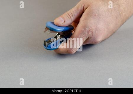 Man hold blue Staple remover against gray background. Device tha Stock Photo