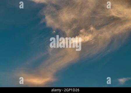 rarefied cloud, shaded orange, blown by the winds, with a tuft illuminated by the evening light, under a blue sky. Stock Photo