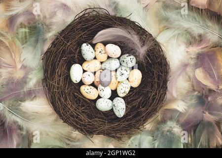 Colorful Easter eggs in bird nest surrounded with pastel colored feathers and wooden cubes with the text Happy Easter top view, modern background desi Stock Photo