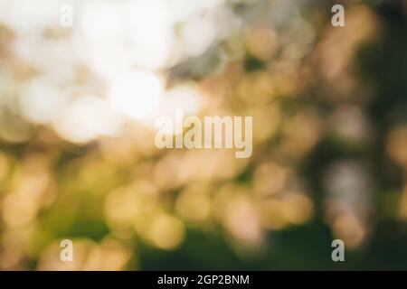 The lights of the sun, bokeh, blurred sunset lights. High quality photo Stock Photo