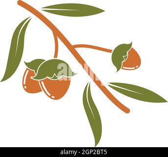 jojoba nuts vector illustration design Stock Vector