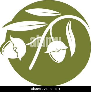 jojoba nuts vector illustration design Stock Vector
