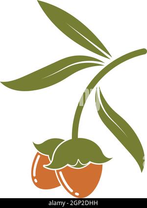 jojoba nuts vector illustration design Stock Vector