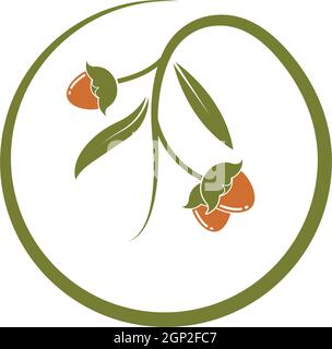 jojoba nuts vector illustration design Stock Vector
