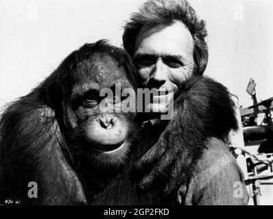 Clint Eastwood, Clyde / Every Which Way But Loose 1978 directed by ...