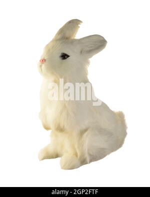 An isolated white rabbit over a clean bright background. Stock Photo