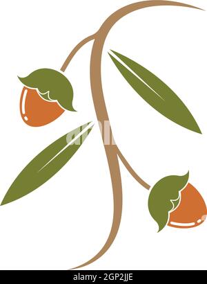 jojoba nuts vector illustration design Stock Vector