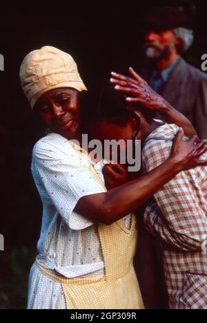 cicely tyson fried green tomatoes