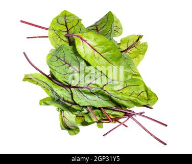 heap of fresh leaves of green Chard leafy vegetable (mangold, beet tops) isolated on white background Stock Photo