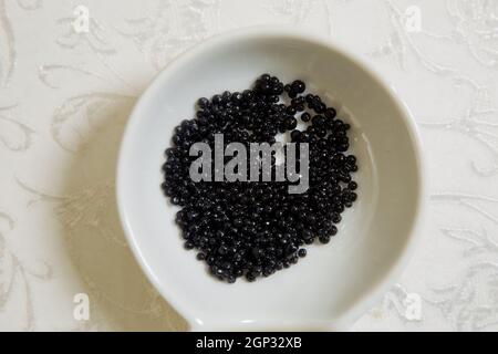 a white background Black caviar in a little bowl on above view of black dyed salty caviare of halibut fish in glass jar isolated on white background. Stock Photo