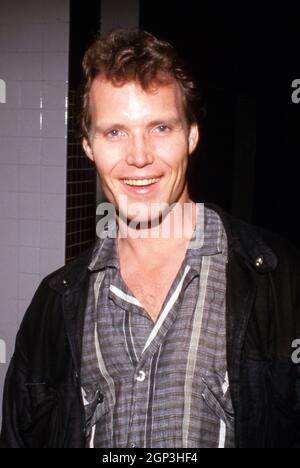 Patrick Reynolds Circa 1980's Credit: Ralph Dominguez/MediaPunch Stock Photo