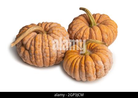 Futsu black japanese pumpkins isolated on white background Stock Photo